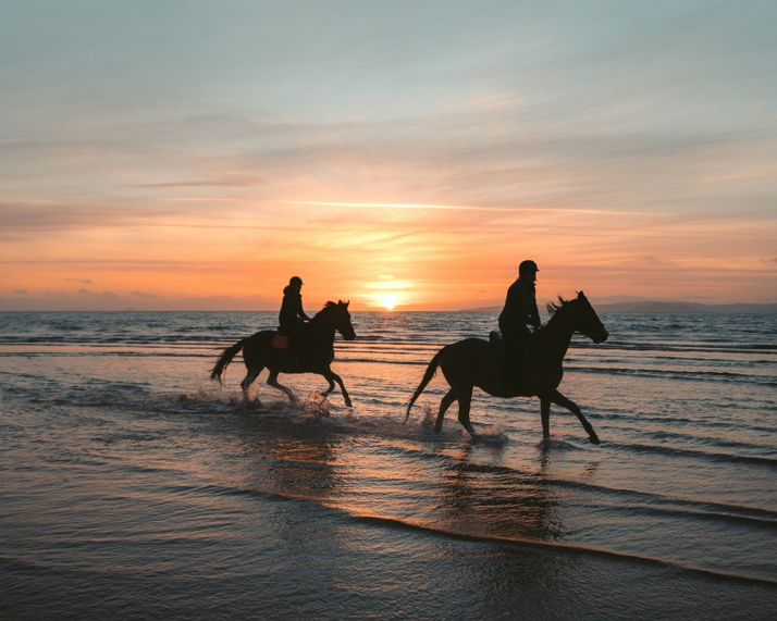 Horses on the beach